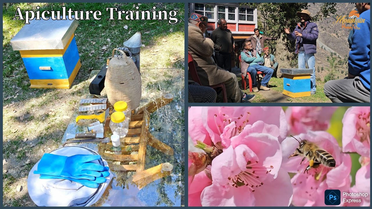 Beekeeping training in Hindi | Madhumakhi palan | honey bee farming | mountain honey bee |Apiculture
