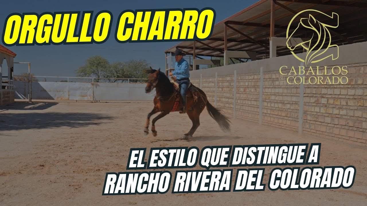 🇲🇽 Orgullo Charro Estilo que Distingue a Rancho Rivera del Colorado 🇲🇽