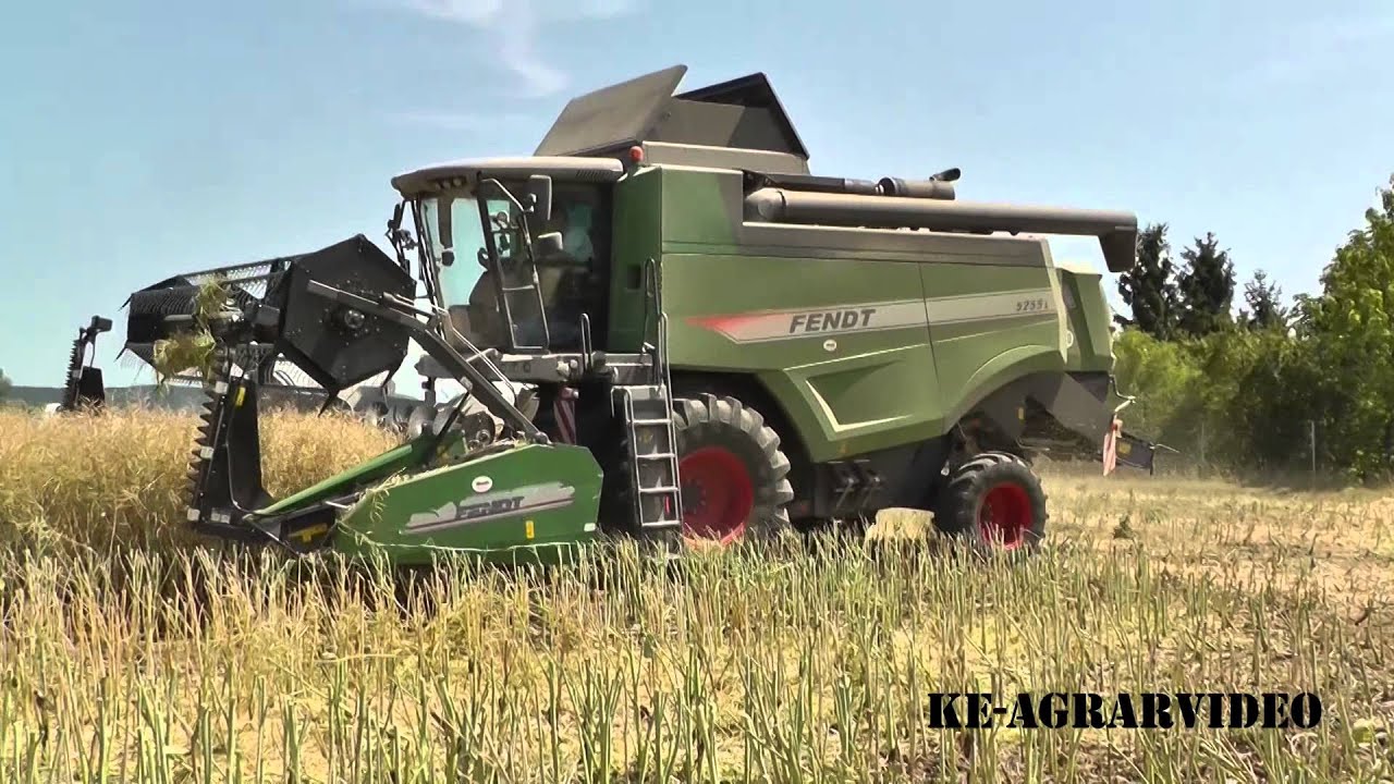 Fendt 5255L beim Raps dreschen![HD]