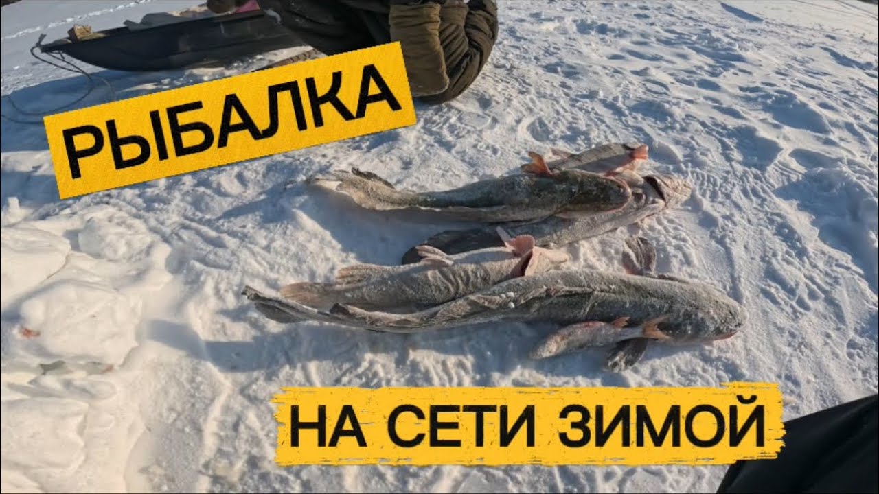 ПРОКАТИЛСЯ НА СНЕГОХОДЕ, ПРОВЕРИЛ СЕТИ 