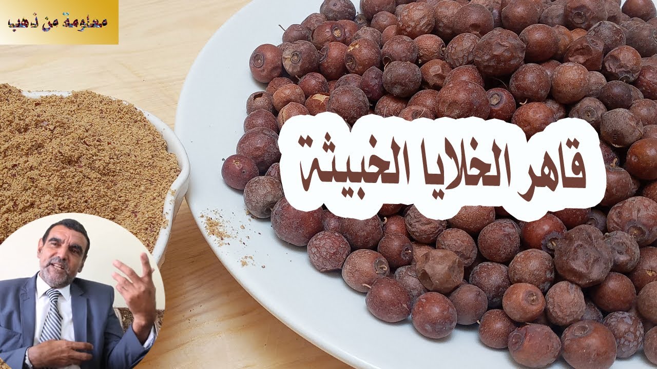 معلومة من ذهب :الدكتور محمد الفايد | العُناب أو نبق السدر فاكهة جافة مُعجزة