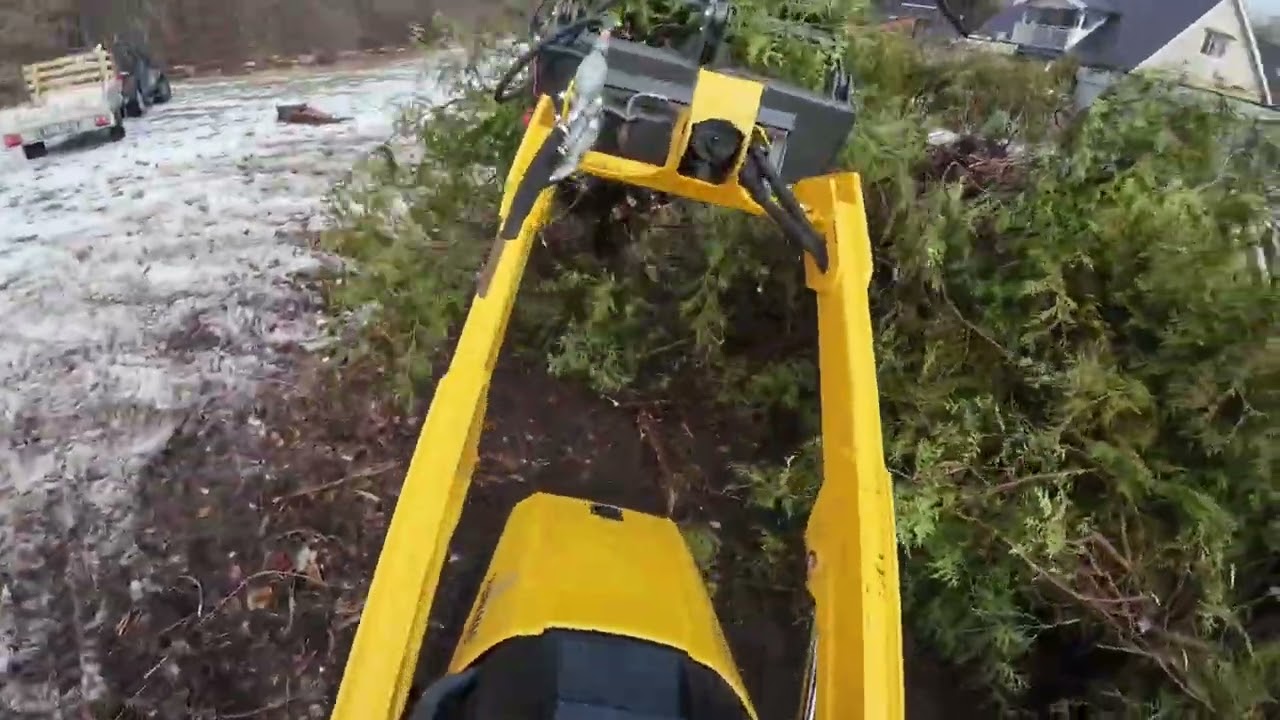 Austter stl1000 continuing ripping some hedge 😁