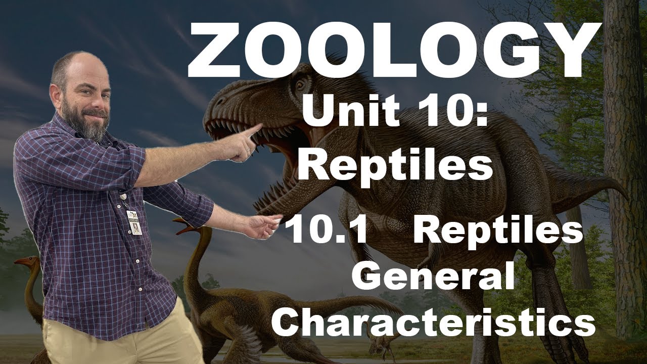 Zoology - Unit 10.1   Reptiles General Characteristics