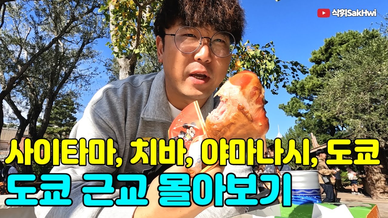 사이타마, 디즈니랜드, 야마나시, 도쿄 l 도쿄 근교 여행 몰아보기