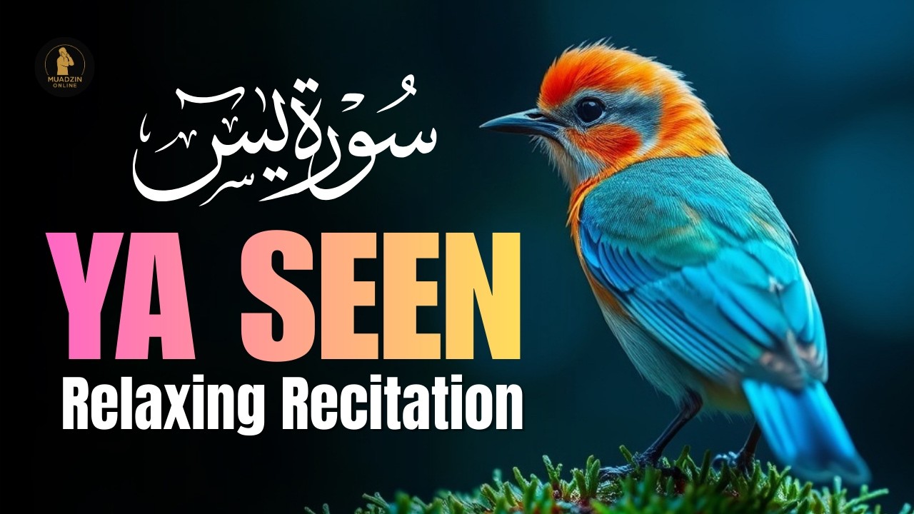 Surah Yaseen (سورة يس) | Quran for Sleep & Deep Peace | Relaxing Recitation | Muadzin Online