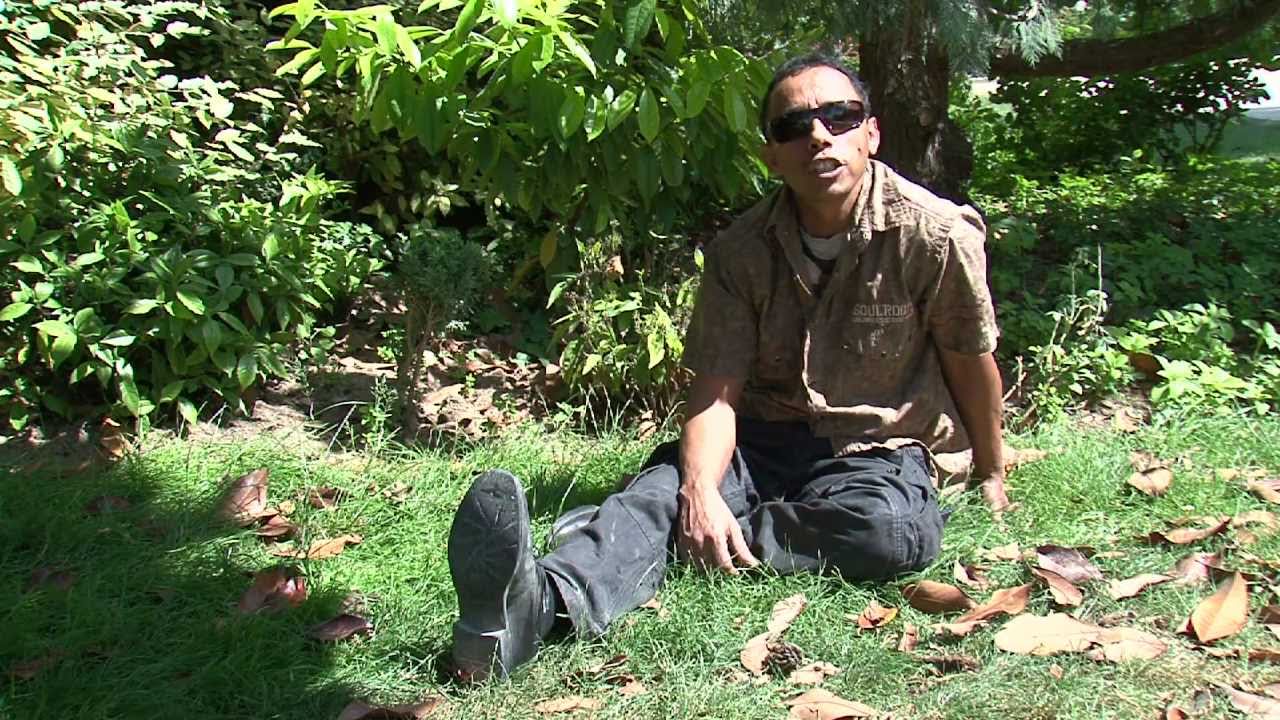 La langue tamasheq