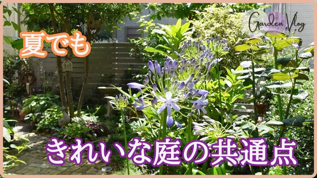 夏に、うわっと目が留まるお庭の共通点/ガーデンメンテで最も大切な作業/番外編UV対策