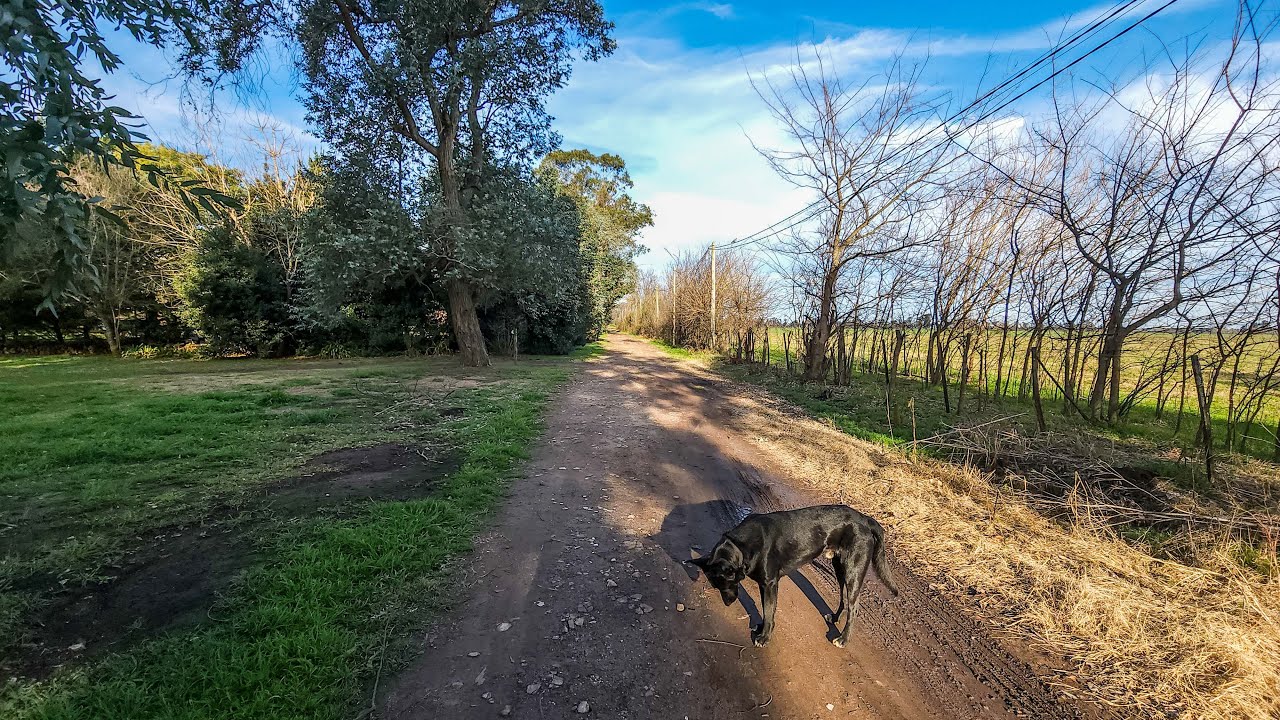 Se fue del barrio más hacinado de Buenos Aires para vivir acá | La Araucaria, Buenos Aires