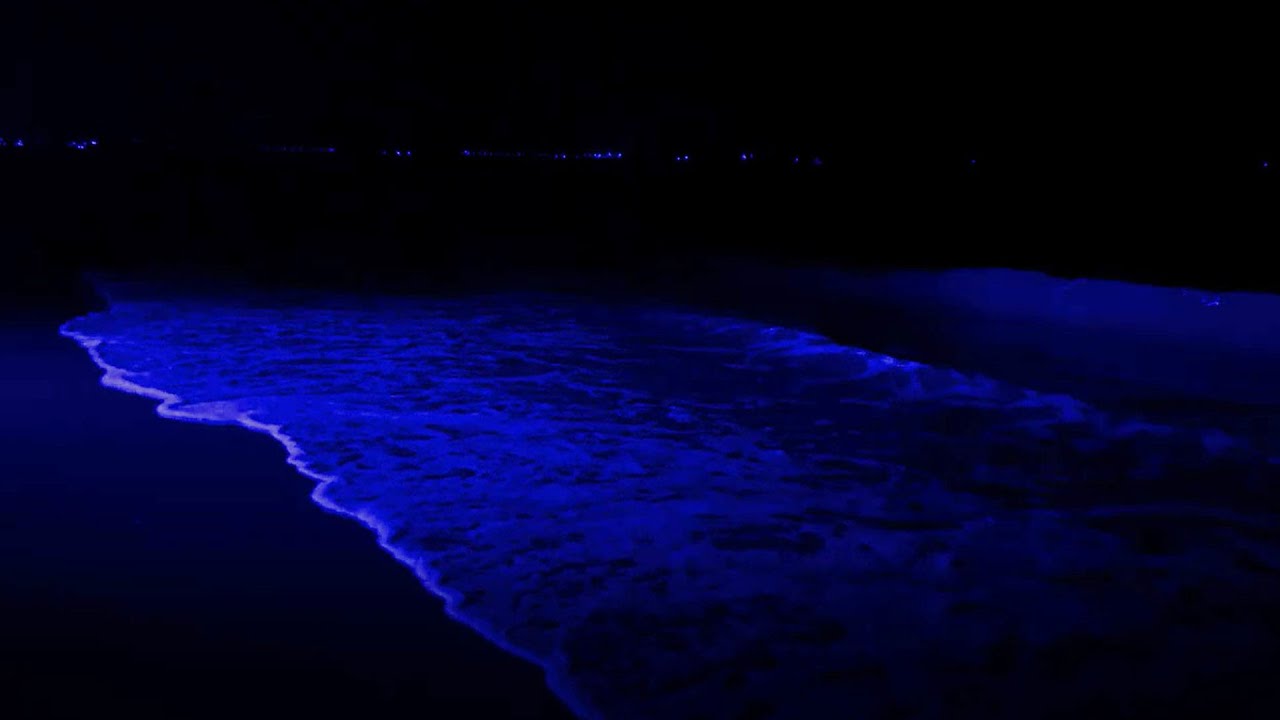 夜はこれらのリラックスできる波の音でぐっすり眠れます。穏やかでリラックスできる波の音