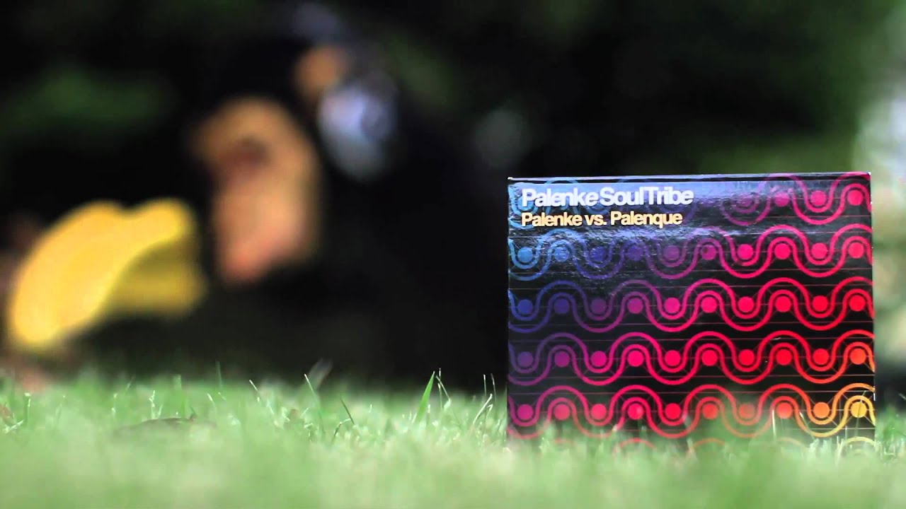 Palenke Soultribe Teaser 