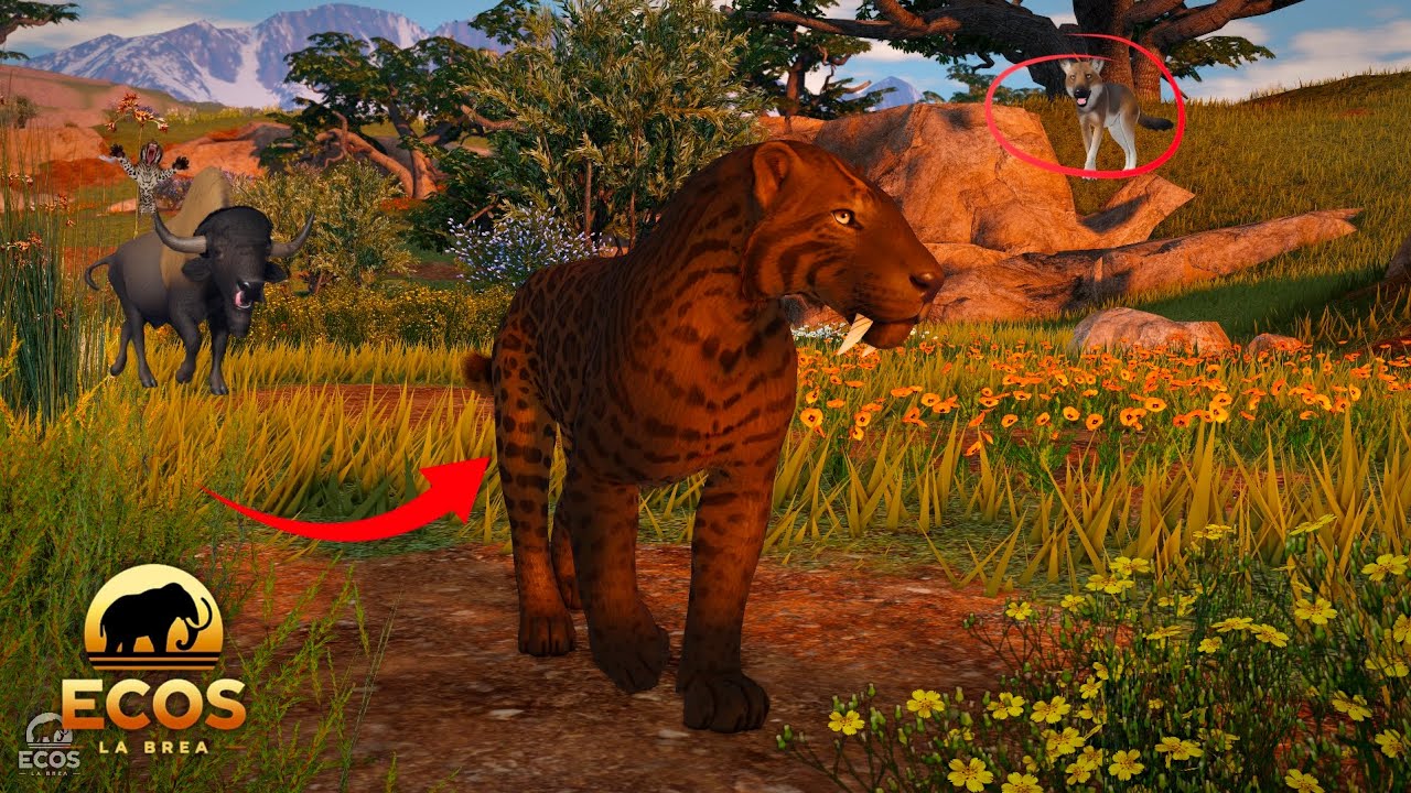 Life of a Smilodon/Tiger | Ecos - La Brea #roblox 