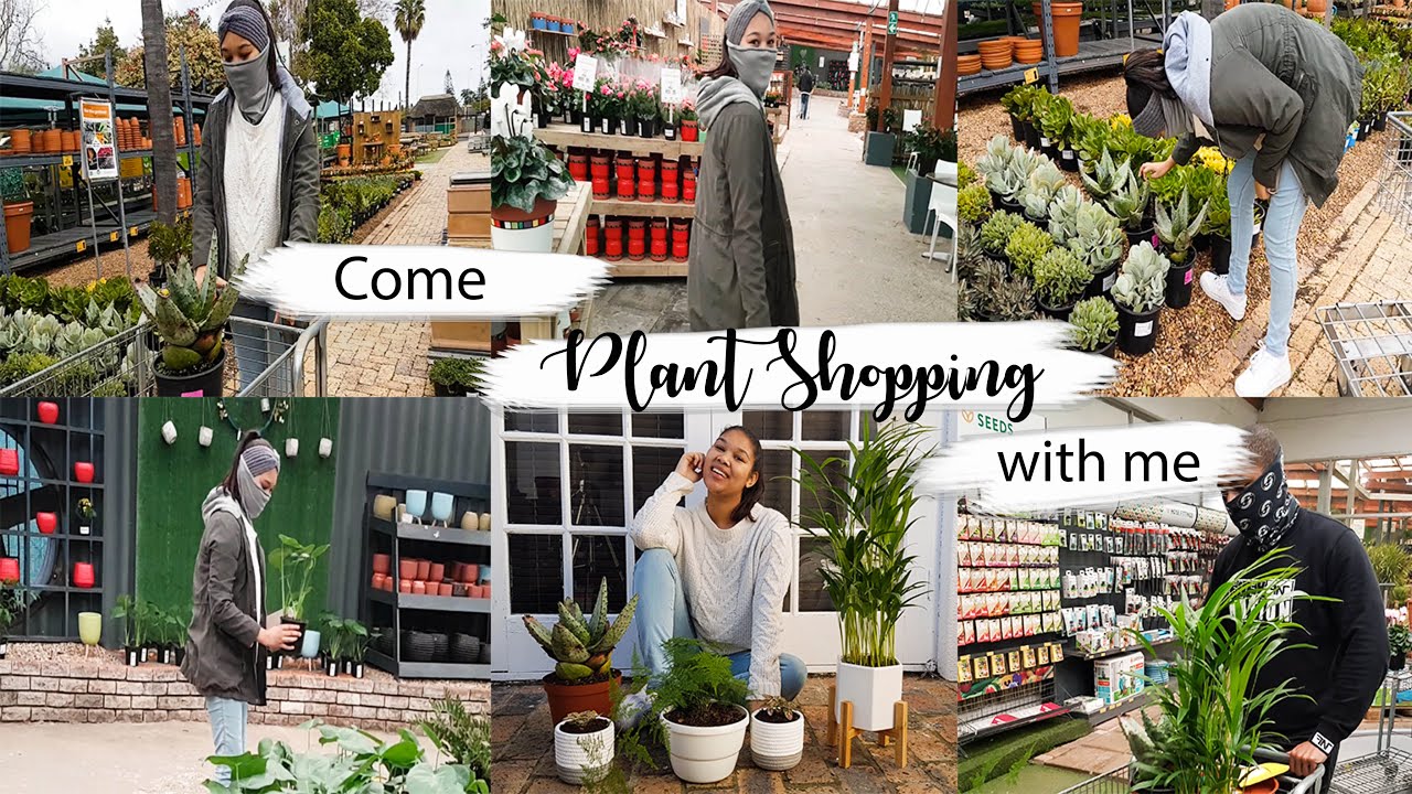 Come Plant Shopping with Me! | Plant Haul + Repotting