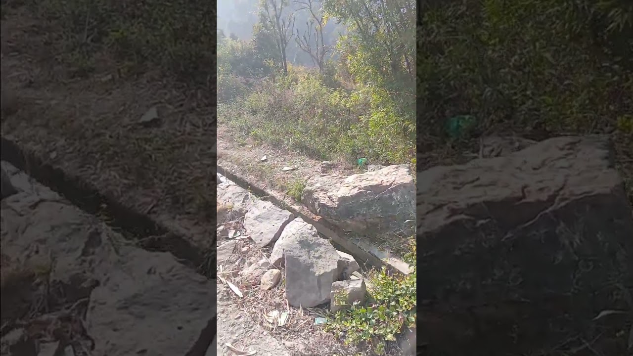 काण्डई  गौं कु पन्दयरु...