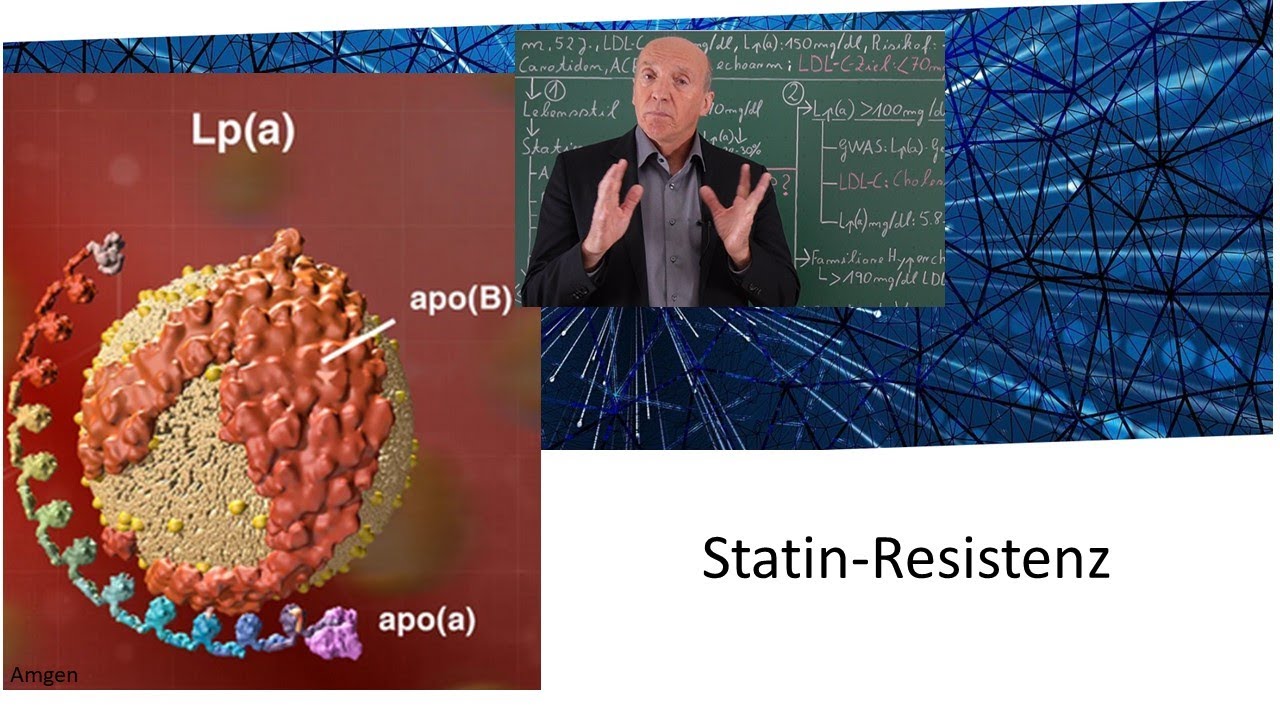 Lipoprotein(a) – Wenn Statine nicht wirken – Was sind die Ursachen?