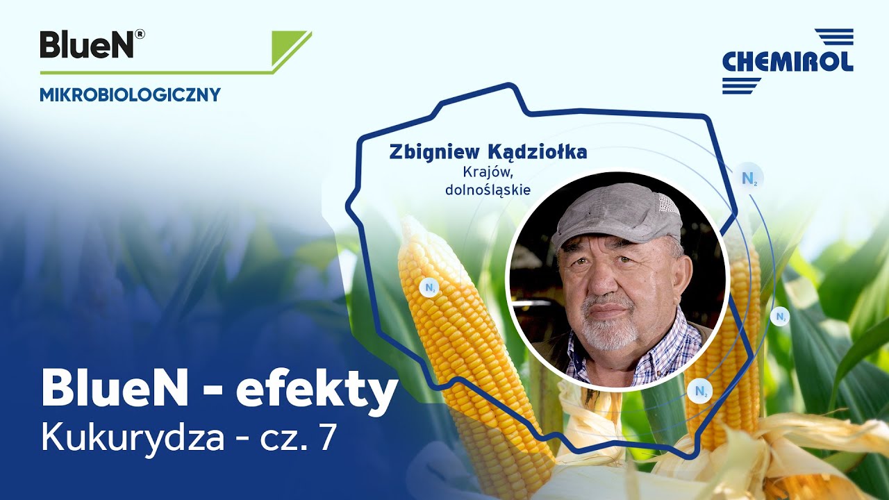 BlueN&reg; efekty stosowania oczami rolnik&oacute;w w kukurydzy &ndash; cz. 7