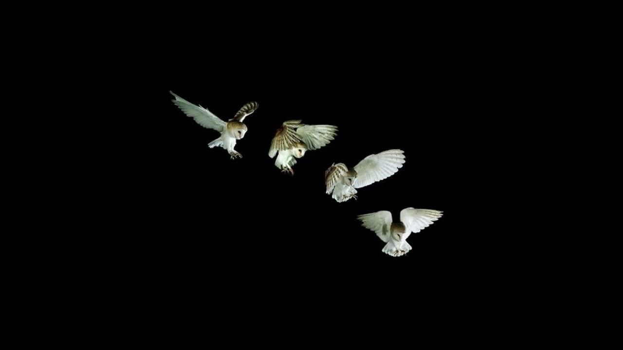 DRAKE X KHALI TYPE BEAT
