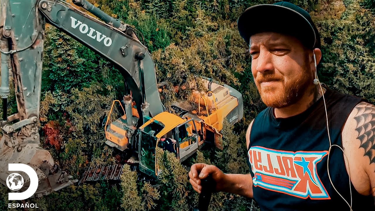 Enorme árbol se interpone en el camino de Rick Ness | Fiebre del Oro | Discovery En Español