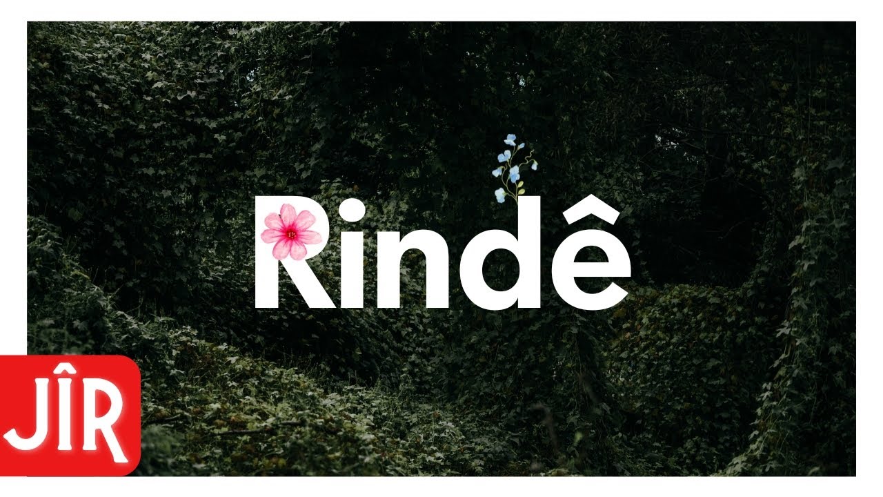 Jîr | Rindê (Live Performance)