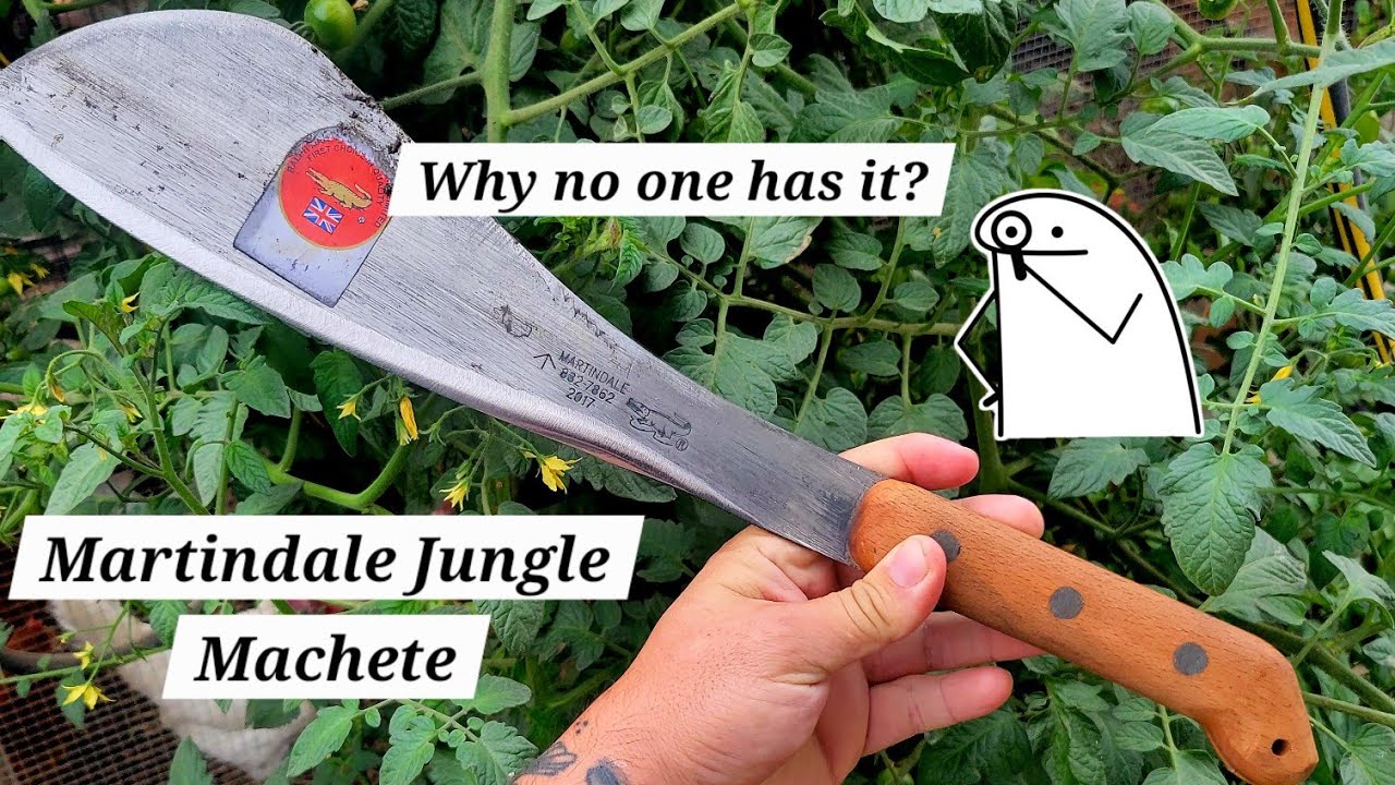 STORY TIME; Martindale Jungle Machete