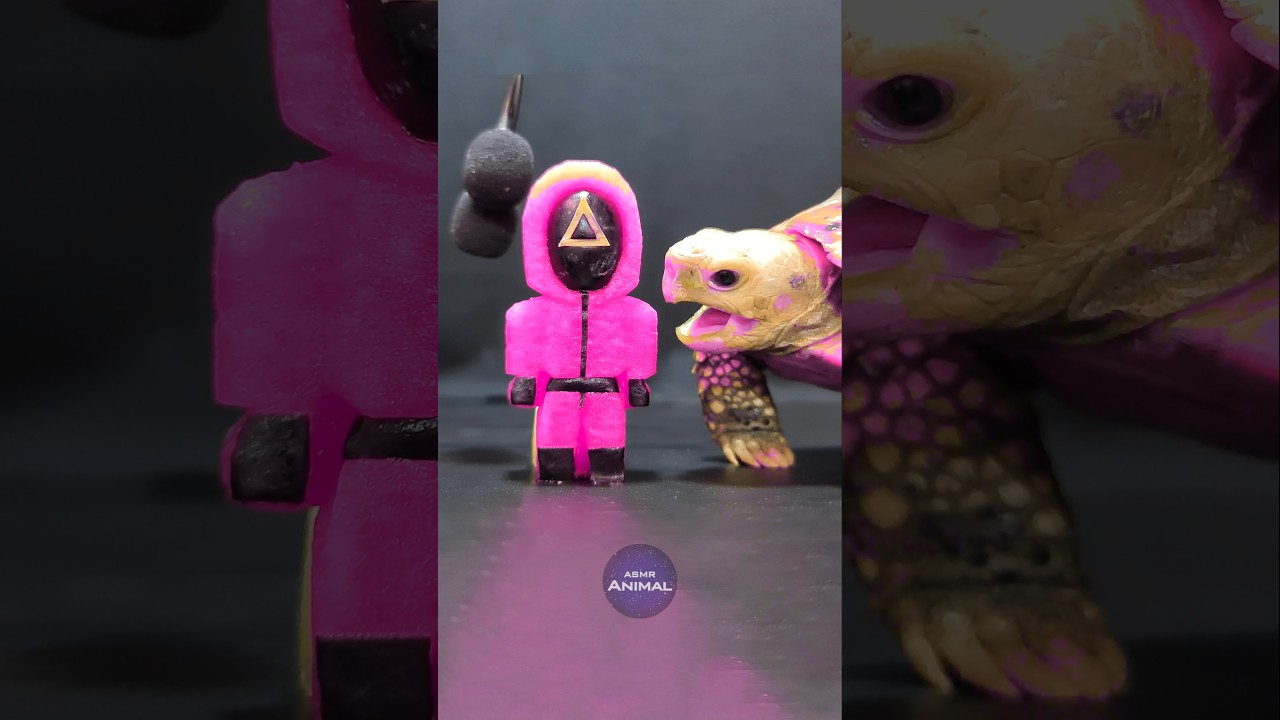 Squid Game ASMR Mukbang Eating Pink Soldier 🦑 Turtle Tortoise