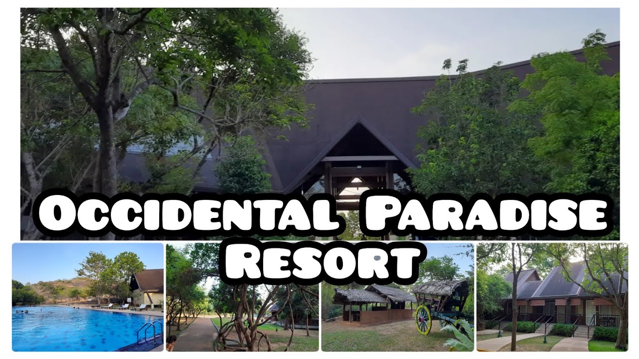 Occidental Paradise 🏕 | Dambulla | Sri Lanka #Occidentalparadiseresort #dambulla #visitsrilanka