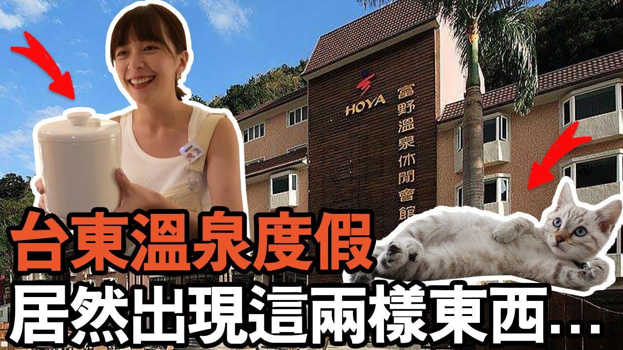 【溫泉飯店有這一罈...？】台東住宿奇遇，甚至有貓咪當帶位員！ #旅遊#住宿#飯店#溫泉#親子#度假#台東#海莉#挑剔#灰塵#東部