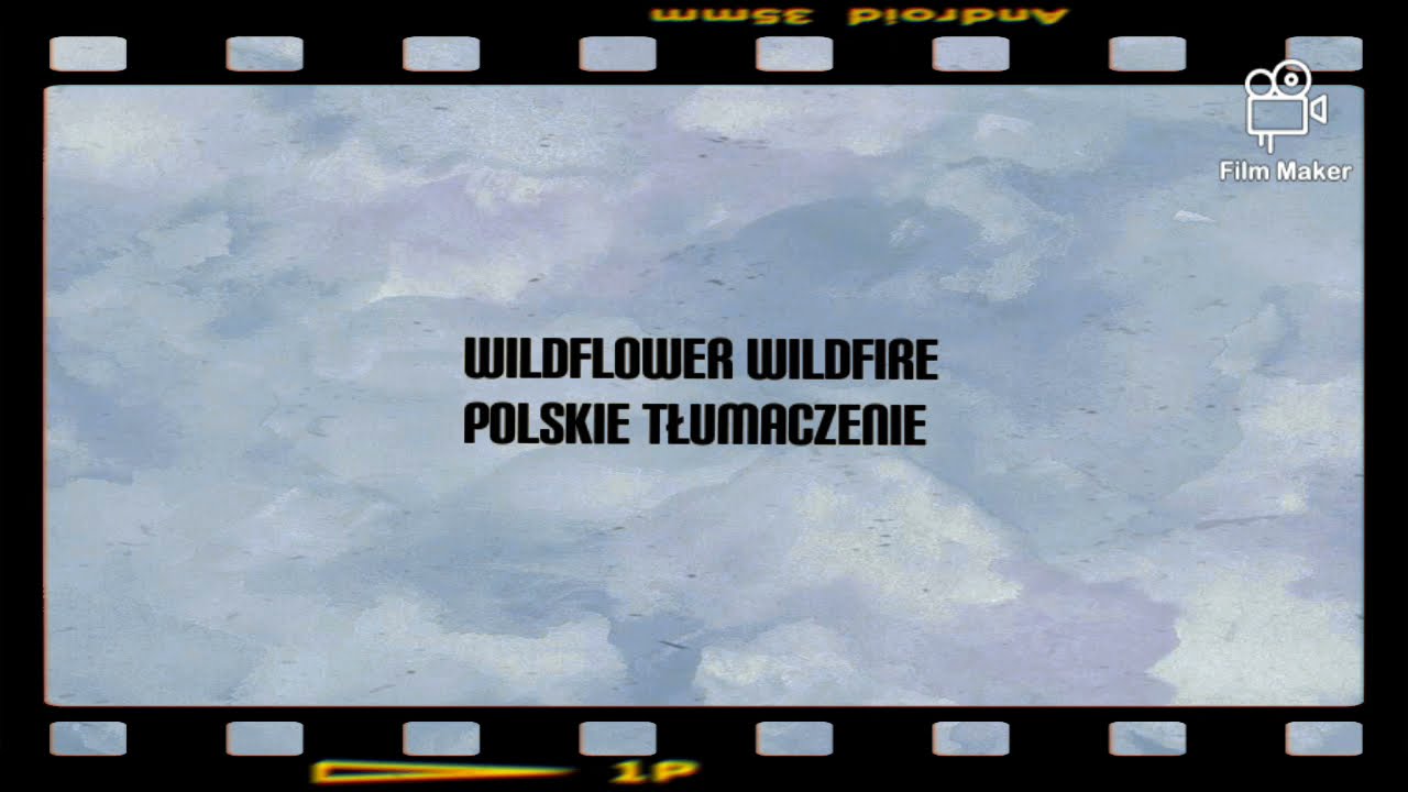 Lana Del Rey - Wildflower Wildfire Tłumaczenie PL