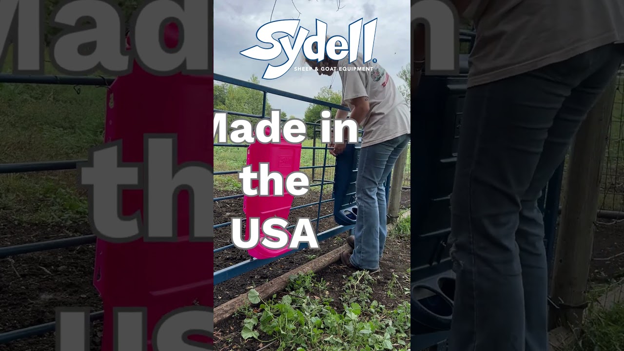 Sydell Blue Mineral & Grain Feeder Item 