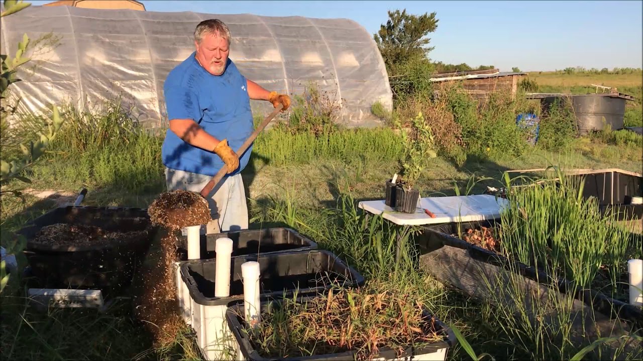 Planting Blueberries in Wicking Bed Containers Without Using Dirt!