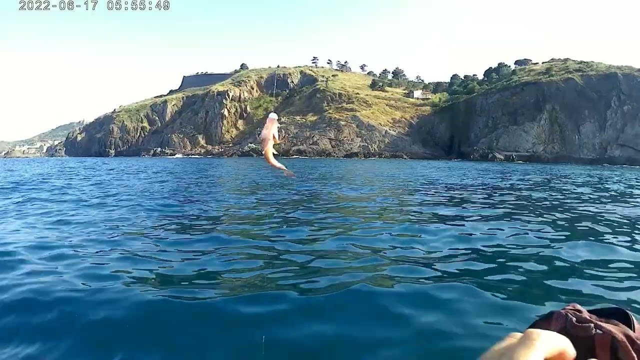 Pêche kayak côte Vermeille