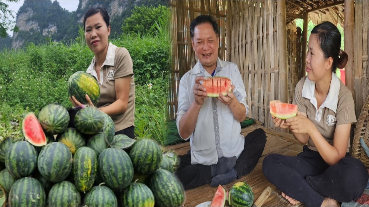 Harvest watermelons to sell at the market - Buy tarpaulin to cover the roof - Clean up the garden