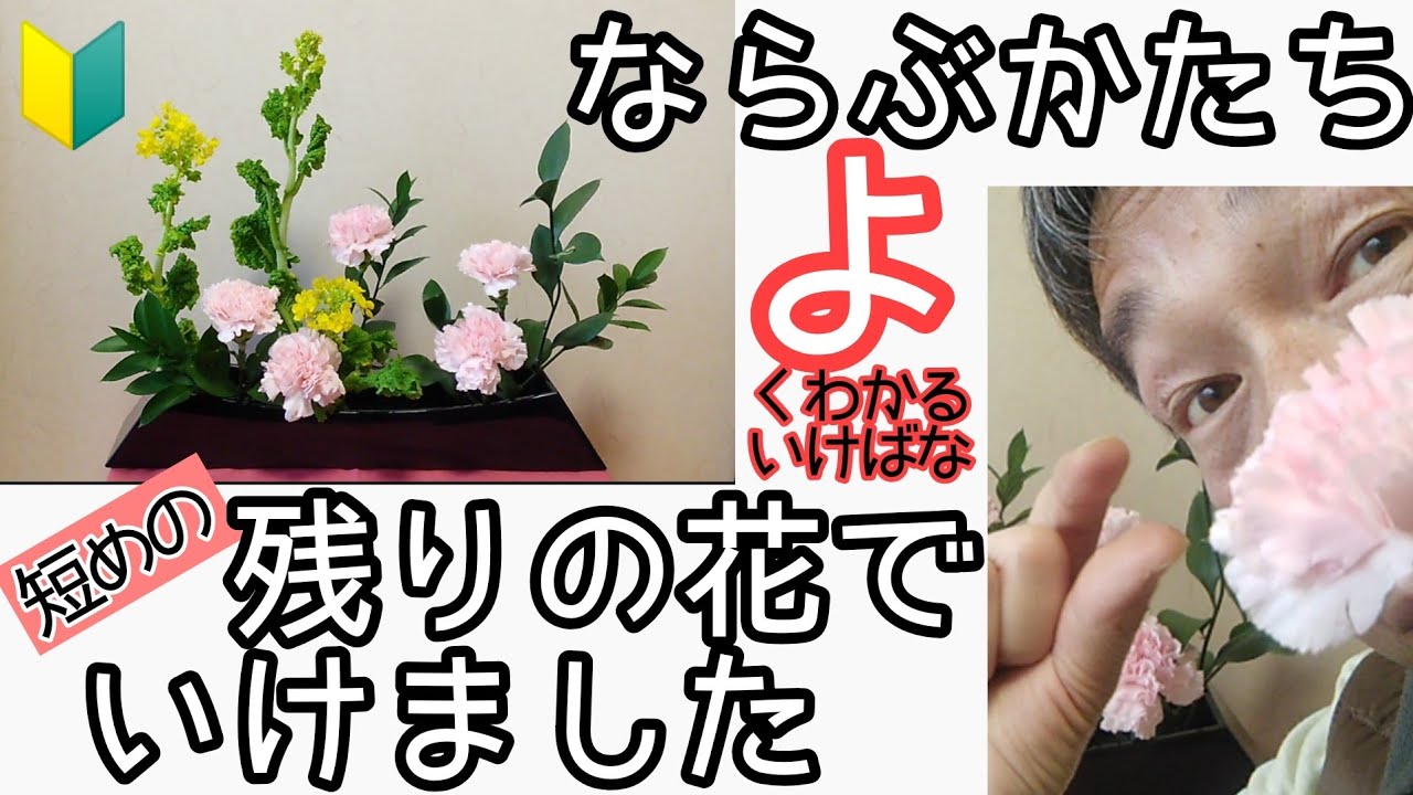 🔰【よくわかる生け花】いけばな小原流　花意匠　ならぶかたち　菜の花　カーネーション　丸葉ルスカス　始めよういけばなレッスン！
