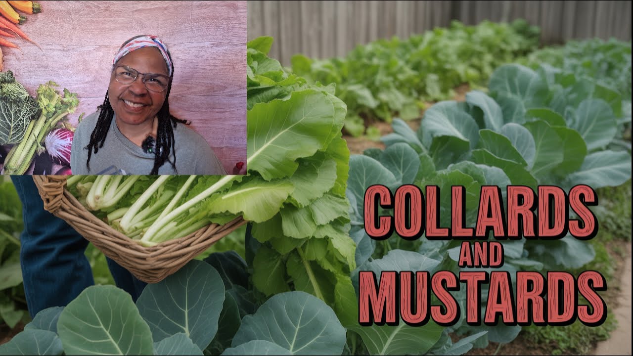 Let's Start 2026 Garden Now With Cruciferous Vegetables: Cabbage, Broccoli, Kale, Collards & More