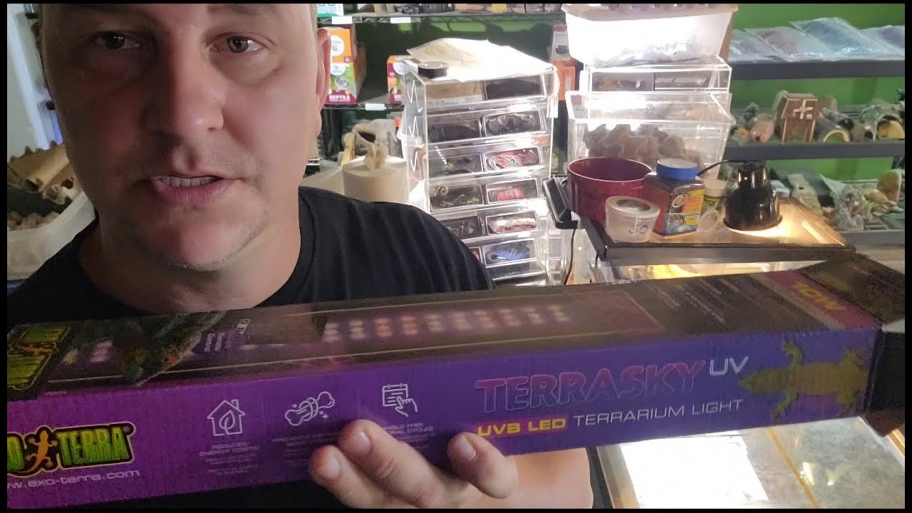 Обзор Exoterra LED Reptile UVB (лучше ли он, чем ламповый UVB)