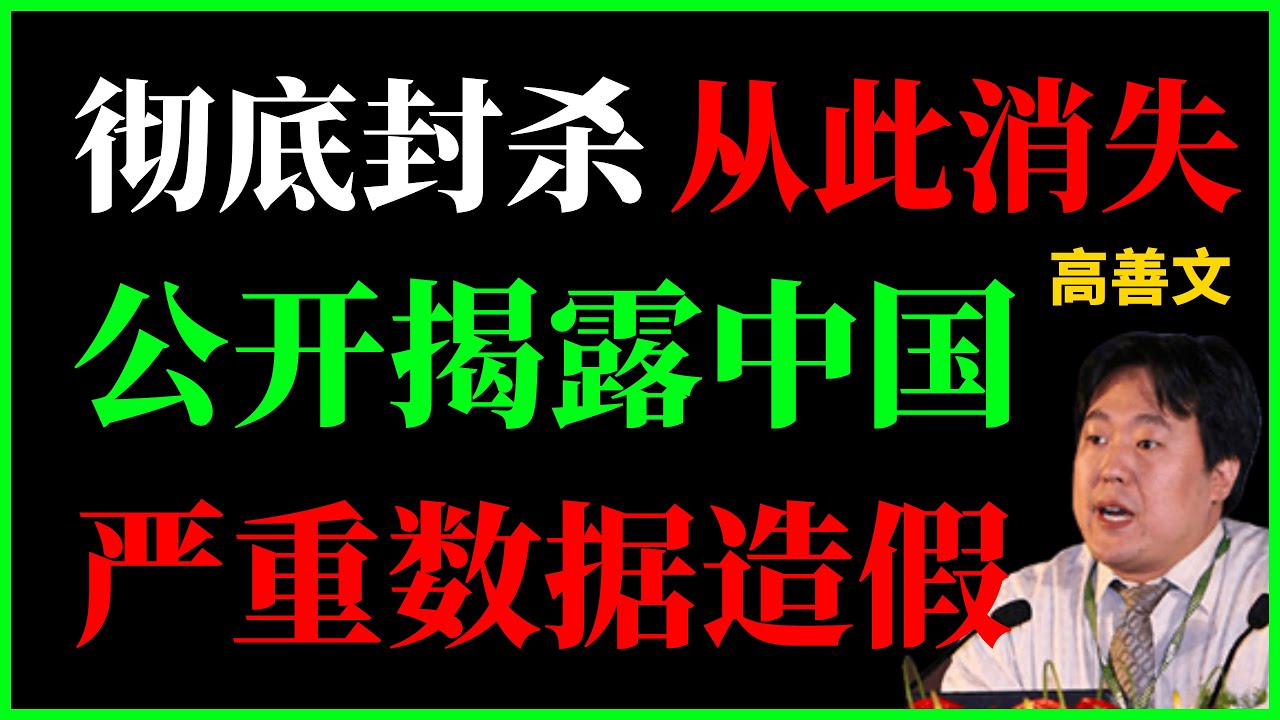 高层怕了：开除高善文/2025年11月24日，彻底封杀。都被他说中了，揭露中国经济数据造假！