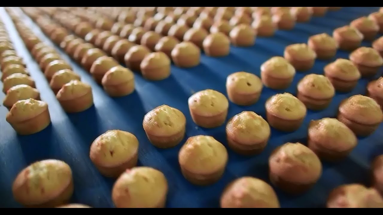 الفيلم الوثائقي - مخبوزات لوزين من المراعي