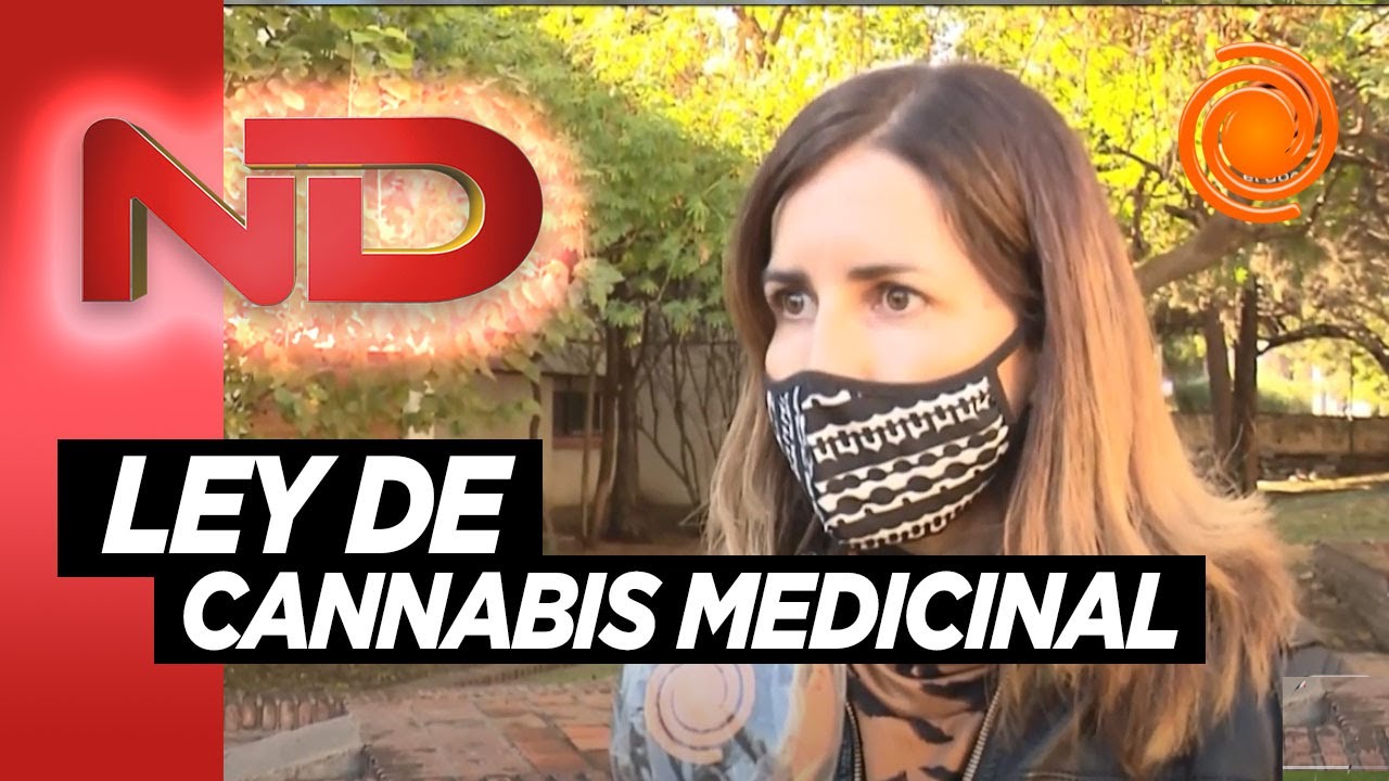 C&oacute;rdoba aprob&oacute; la adhesi&oacute;n a la ley de cannabis medicinal: 