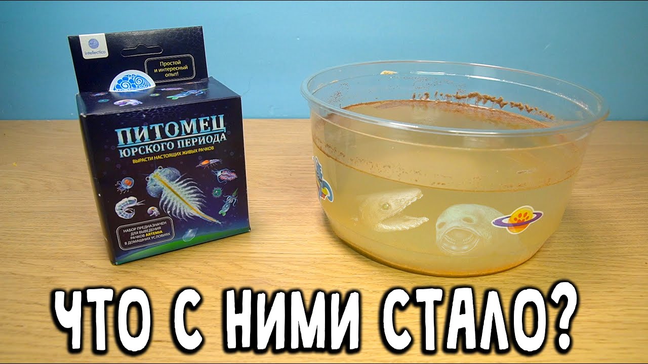 Что случилось с Питомцами Юрского Периода из Фикспрайс?Артемии