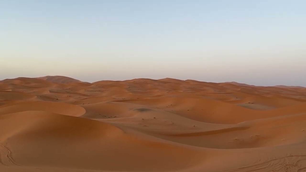 Saharan Aphex