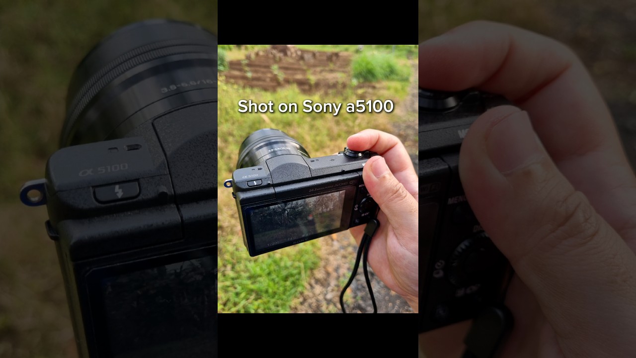 Sony a5100 in 2024 || Photography