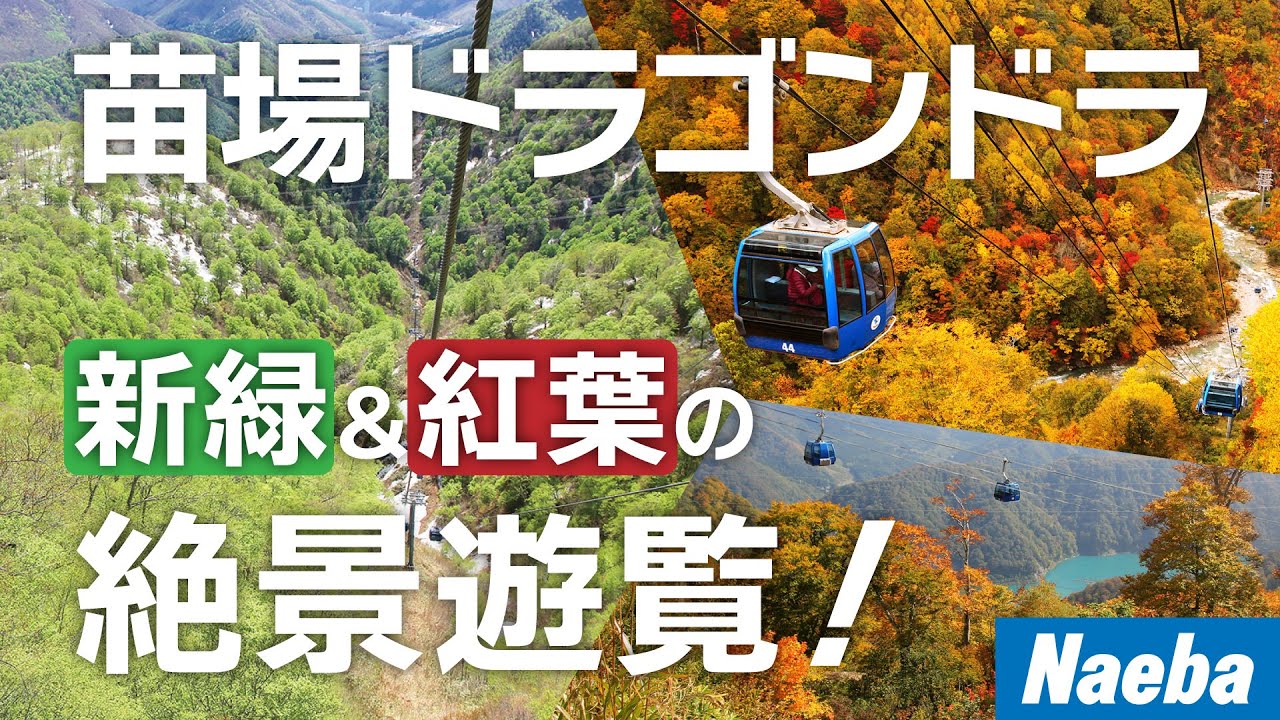 【苗場ドラゴンドラ】空から眺める新緑＆紅葉！日本最長約5.5kmの絶景遊覧！