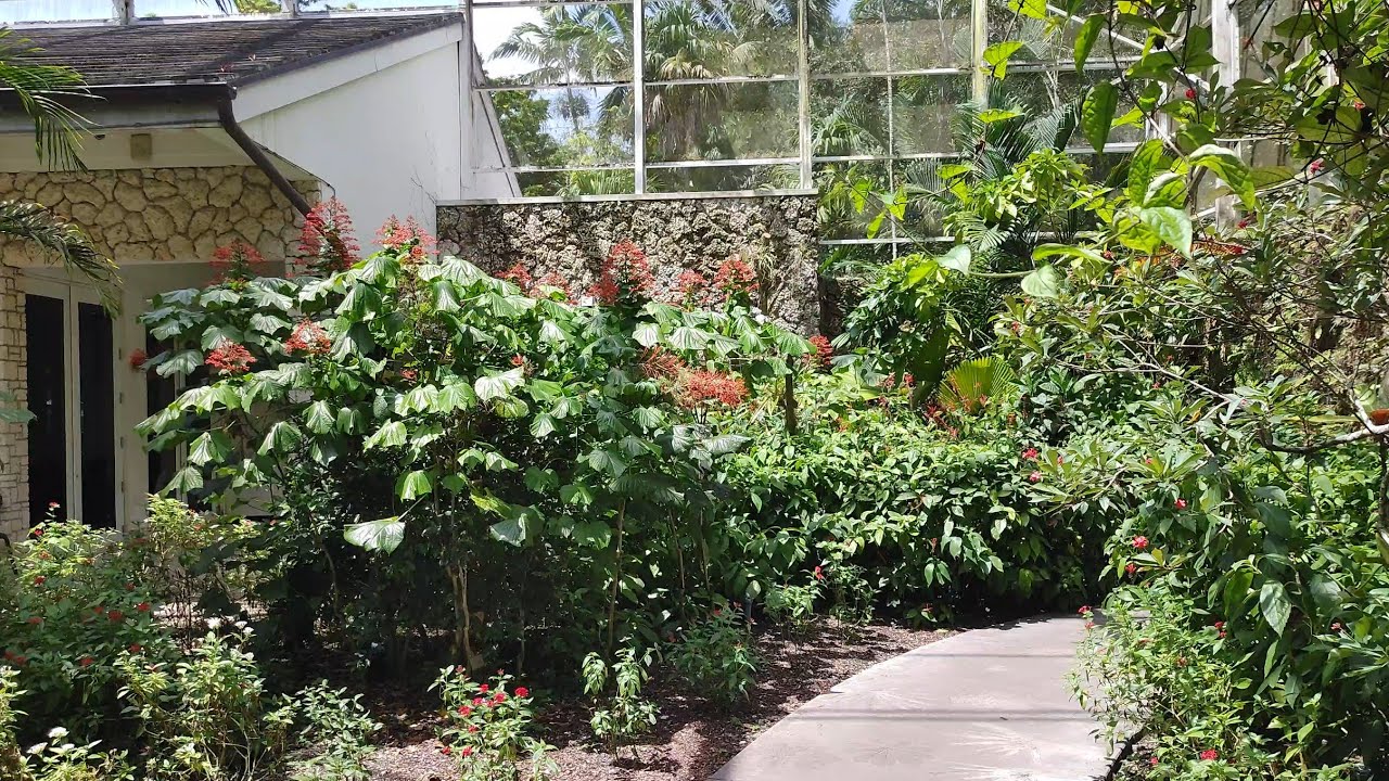 4K Butterfly Sanctuary at Fairchild Botanical Garden , Walking Tour , Coral Gables FL , August 2023