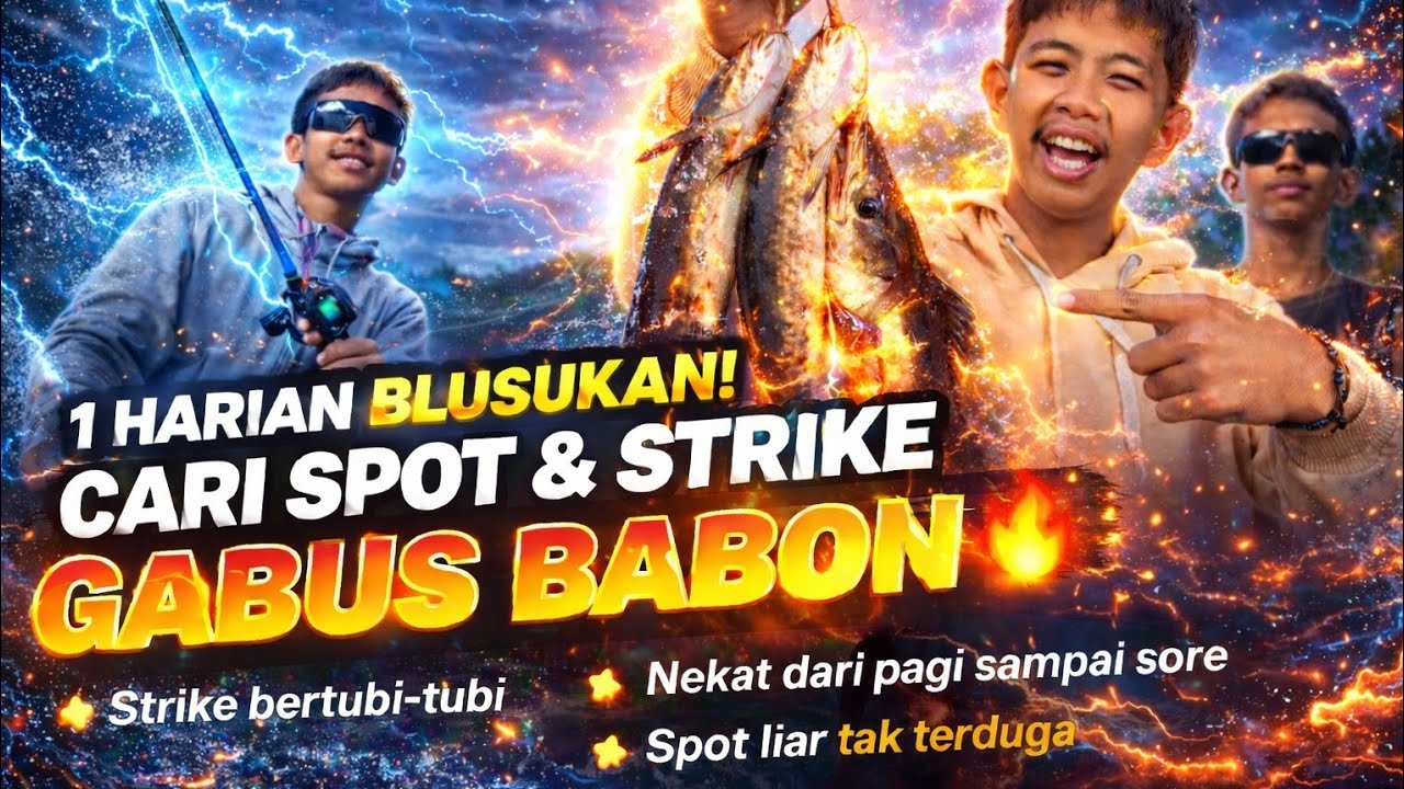 DARI PAGI SAMPAI SORE!GABUS BABON BERTUBI-TUBI 🔥