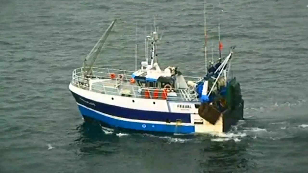 Moule Sauvage de Barfleur - Normandie