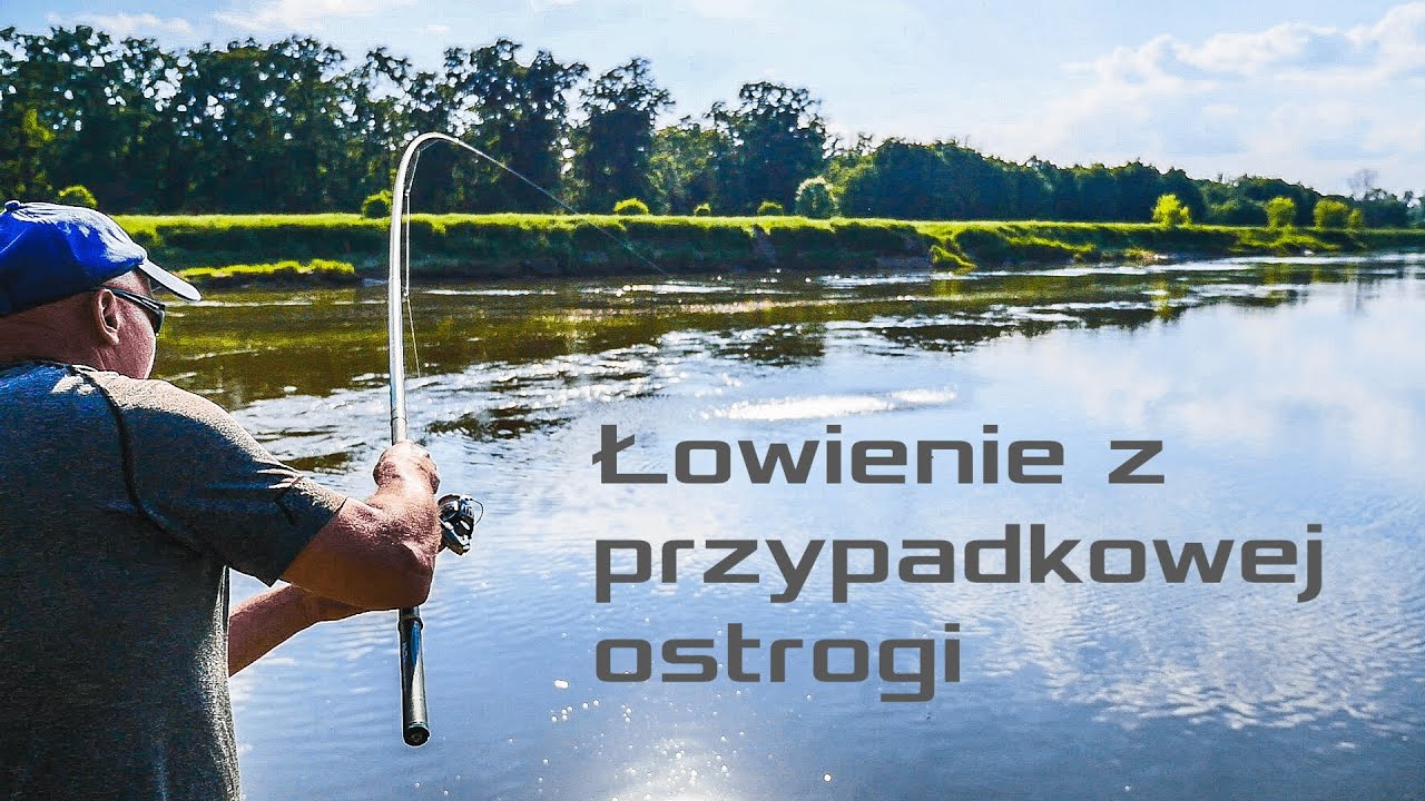Łowienie bolonką z przypadkowej ostrogi. Jak? Prosto!