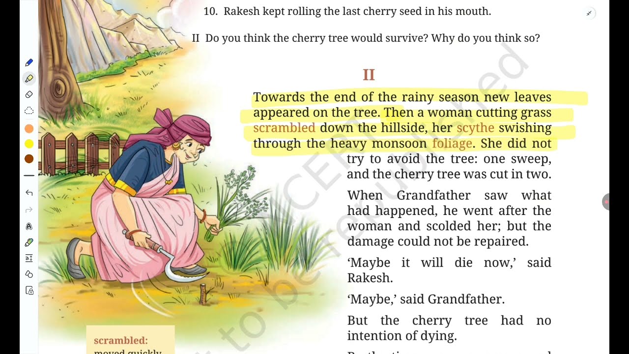 Class8 English Unit 4 Ch-The Cherry tree part 2 Detailed Explanation