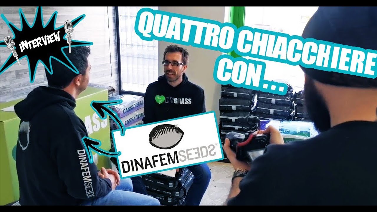 Sub ENG - semi FEMMINIZZATI e AUTOFIORENTI, L'ESPERIENZA di DINAFEM!