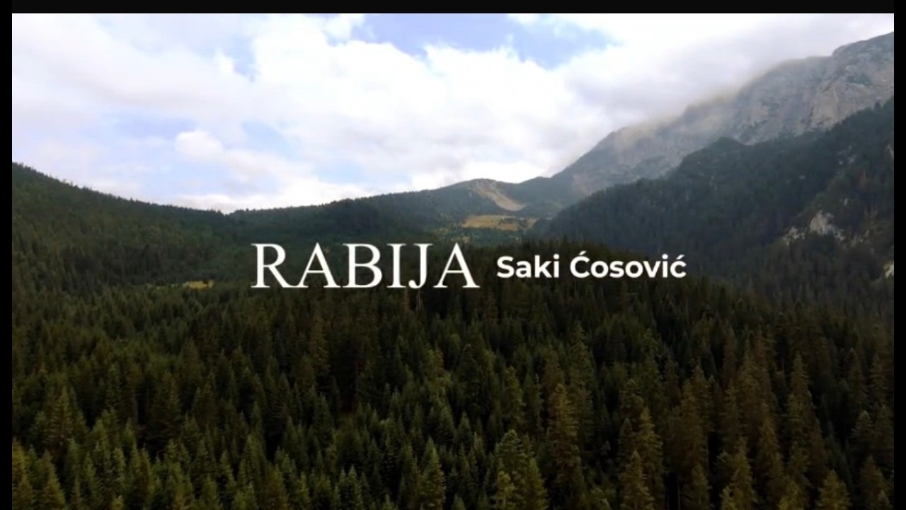 SAKI ĆOSOVIĆ - RABIJA (2026)