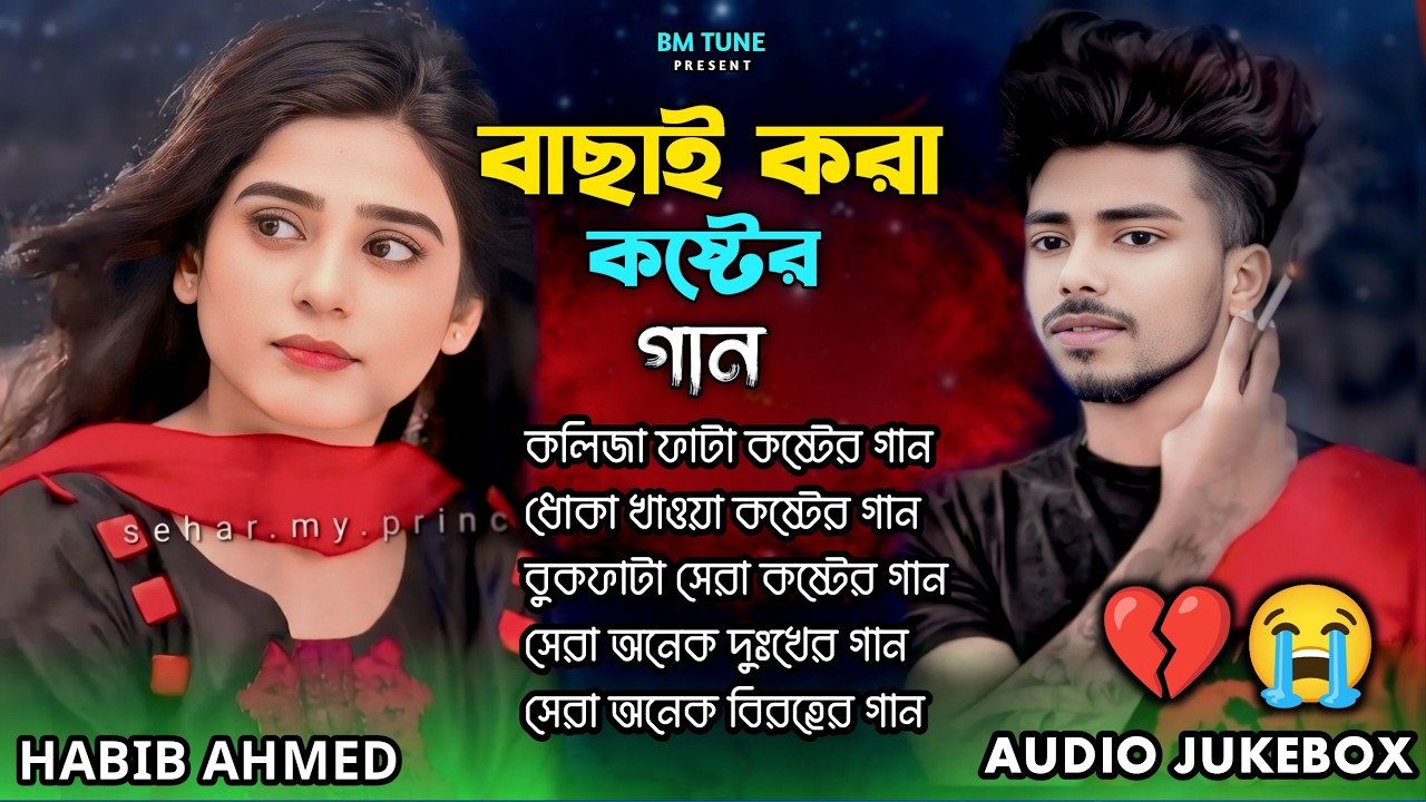 ২০২৬ সালের কলিজা ফাটা সব কষ্টের গান😭💔Bangla Top Sad Song-2026 | Habib Ahmed Audio Album