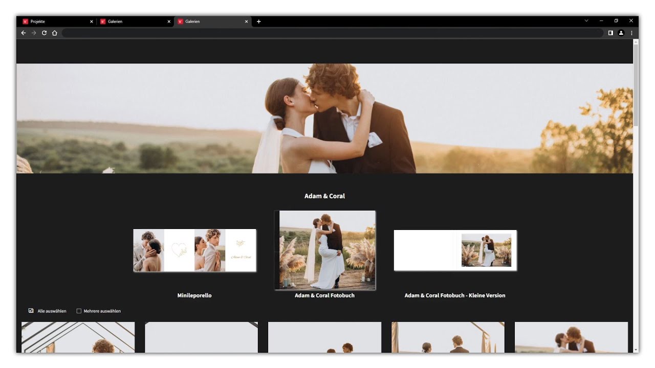 So erstellst du ein Projekt aus einer Galerie im Saal Photo Portal